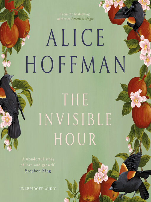 Title details for The Invisible Hour by Alice Hoffman - Wait list